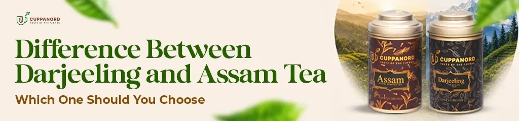 Difference Between Darjeeling and Assam Tea: Which One Should You Brew Today?